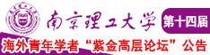嗯啊哦用力视频南京理工大学第十四届海外青年学者紫金论坛诚邀海内外英才！